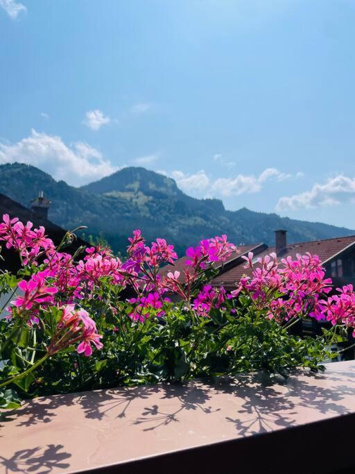Berge, Wandern, Erholung Pur! Fewo Tinka-Haus Katja Bad Hindelang Bagian luar foto