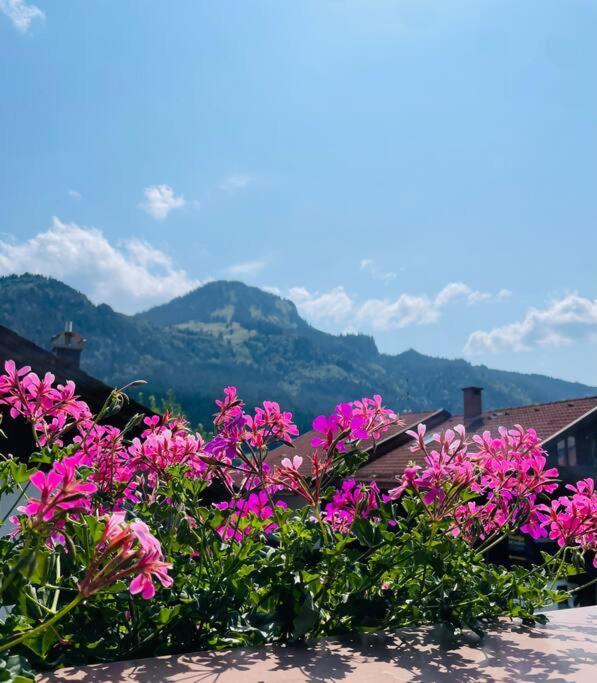 Berge, Wandern, Erholung Pur! Fewo Tinka-Haus Katja Bad Hindelang Bagian luar foto